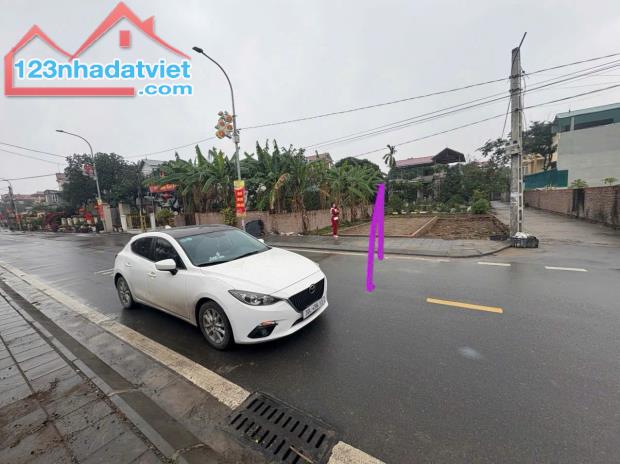 📍 Vị trí: Bìa làng Đường Nhạn, xã Xuân Nộn, huyện Đông Anh, Hà Nội - 3