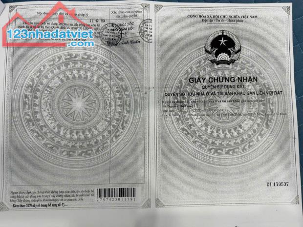 ✅⏩BÁN ĐẤT 245M TẶNG NHÀ LẦU 2/ NGUYỄN THỊ THẢNH,THỚI TAM THÔN ,HÓC MÔN - 1