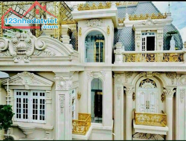 BIỆT THỰ DÁT VÀNG – KIỆT TÁC KIẾN TRÚC CHÂU ÂU NGAY TRUNG TÂM QUẬN 1- NGUYỄN ĐÌNH CHIỂU.