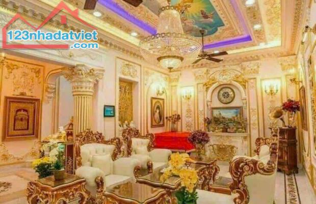 BIỆT THỰ DÁT VÀNG – KIỆT TÁC KIẾN TRÚC CHÂU ÂU NGAY TRUNG TÂM QUẬN 1- NGUYỄN ĐÌNH CHIỂU. - 3