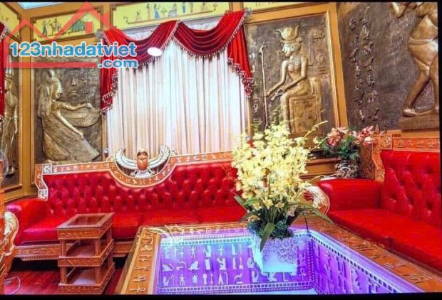 BIỆT THỰ DÁT VÀNG – KIỆT TÁC KIẾN TRÚC CHÂU ÂU NGAY TRUNG TÂM QUẬN 1- NGUYỄN ĐÌNH CHIỂU. - 4