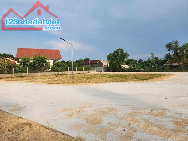 HÀNG PHÂN LÔ F0 TỨ HẠ HƯƠNG TRÀ TP HUẾ - 1