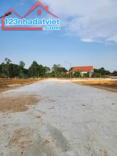 HÀNG PHÂN LÔ F0 TỨ HẠ HƯƠNG TRÀ TP HUẾ - 2