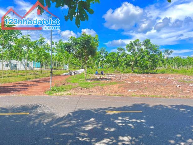🎀 203m2 có 520tr. giá đẹp có 1 không 2. sổ hồng riêng. Bình Mỹ Củ Chi - 1
