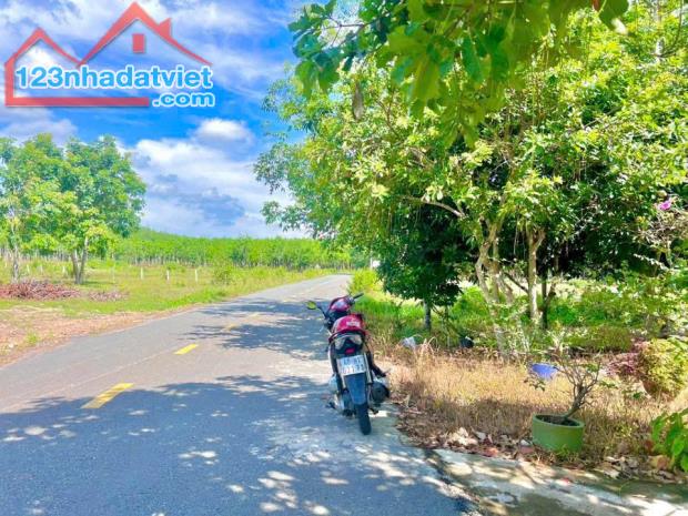 🎀 203m2 có 520tr. giá đẹp có 1 không 2. sổ hồng riêng. Bình Mỹ Củ Chi - 3