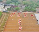 3 ô đất full thổ cư, sổ vuông vắn đẹp tại Tu Vũ,Thanh Thuỷ,Phú Thọ, cách TL317B chỉ 200m