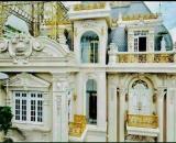 BIỆT THỰ DÁT VÀNG – KIỆT TÁC KIẾN TRÚC CHÂU ÂU NGAY TRUNG TÂM QUẬN 1- NGUYỄN ĐÌNH CHIỂU.