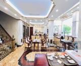 Bán nhà Mặt Phố Cát Linh - Đống Đa - S 120m MT 10m - Vỉa Hè Kinh doanh - Xây Tòa nhà đẹp