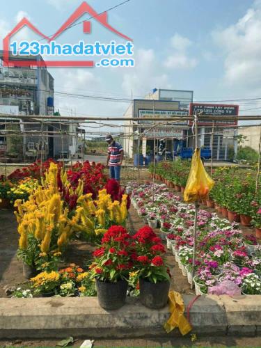 BÁN GẤP LÔ ĐẤT MT 24A KHU DÂN CƯ TÂN ĐỨC DT 113M2 GIÁ 3TY1 (TL) SHR CC NHANH - 2