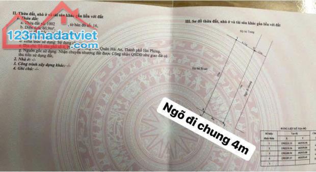 🌇🌇 Bán lô góc ngõ 312 Cát Linh, Tràng Cát 60,9m2 giá chỉ 1,7 tỷ - 2