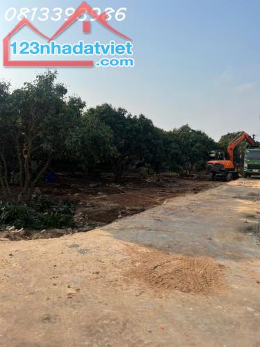 ĐẦU TƯ AN TOÀN – SINH LỜI CAO TẠI NGỌC SƠN, LỤC NAM – GIÁ CHỈ hơn 5xx triệu - 4