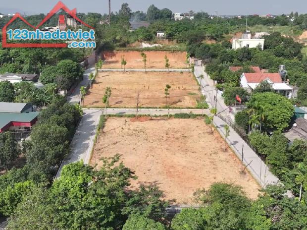😱 Shock! Đất vàng trao tay nhận ngay ưu đãi chỉ với 600tr tại Quảng Ninh