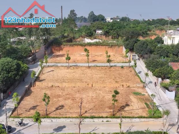 😱 Shock! Đất vàng trao tay nhận ngay ưu đãi chỉ với 600tr tại Quảng Ninh - 1