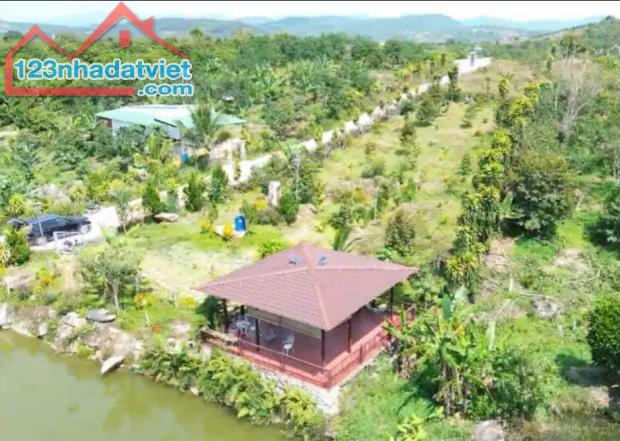 Đất Bảo Lộc, 300m2 có sẵn thổ cư giá chỉ 6xx triệu - 1