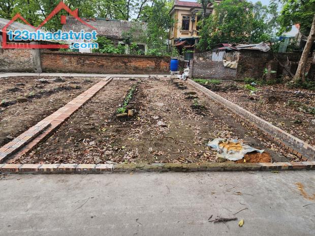 BÁN 50M ĐẤT NGỌC LỊCH,TRƯNG TRẮC,VĂN LÂM,HƯNG YÊN - 1