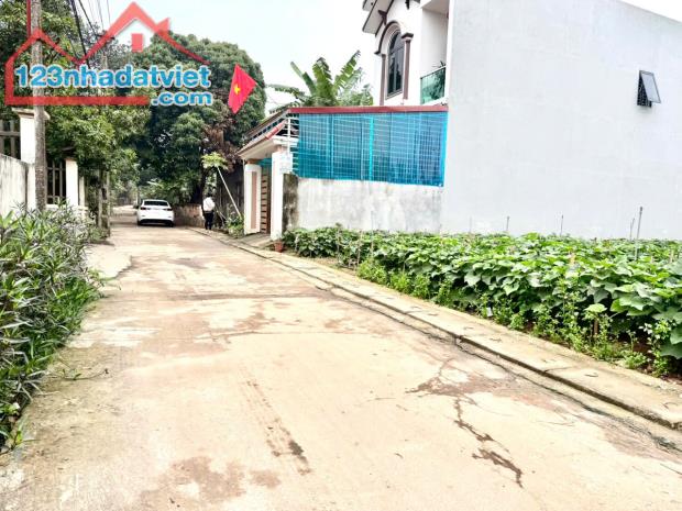 Bán đất Đồng Bông, Kim Long, Tam Dương, Diện tích: 100m2, giá : 1,1x tỷ - 1