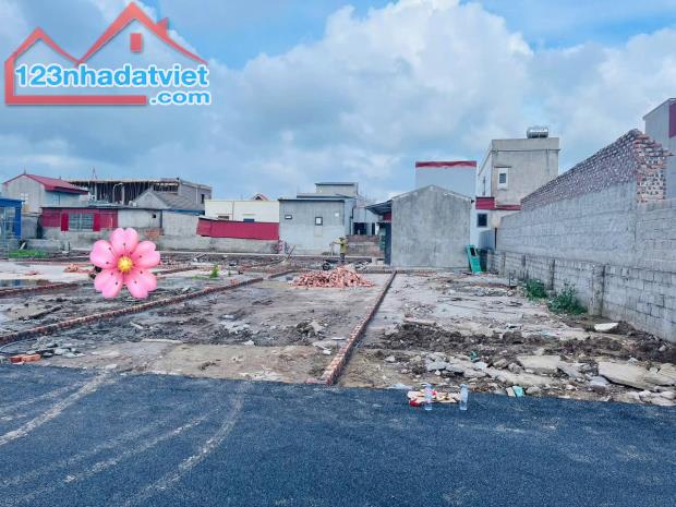 Bán đất Đại Đồng - Kiến Thụy - Hải Phòng - 1