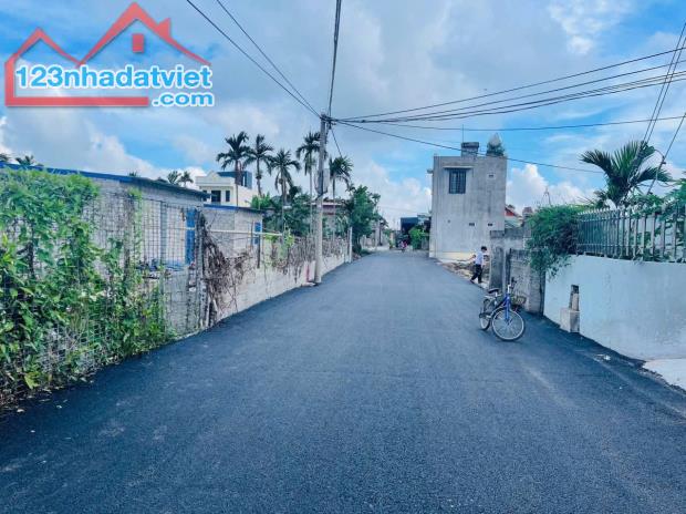 Bán đất Đại Đồng - Kiến Thụy - Hải Phòng - 2
