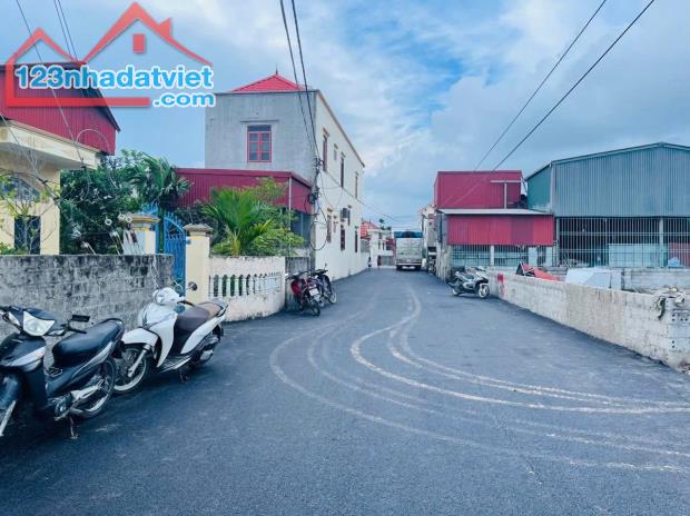 Bán đất Đại Đồng - Kiến Thụy - Hải Phòng - 5