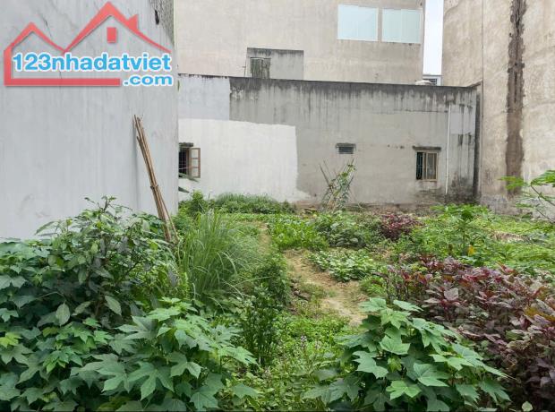 Bán đất Thôn Do Thượng - Tiền Phong - Mê linh. 4,15 tỷ oto moning đỗ cửa. - 1