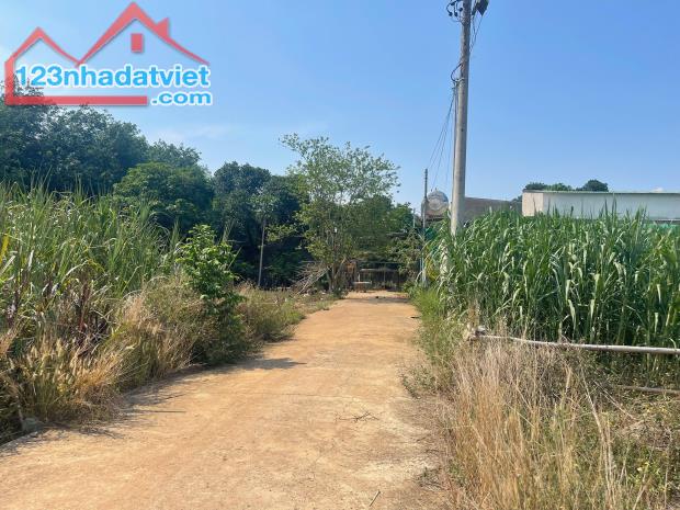 🌟 BÁN GẤP LÔ ĐẤT ĐẸP TRUNG TÂM TÂY HÒA – TRẢNG BOM, GIÁ CHỈ 800 TRIỆU! 🌟 - 2