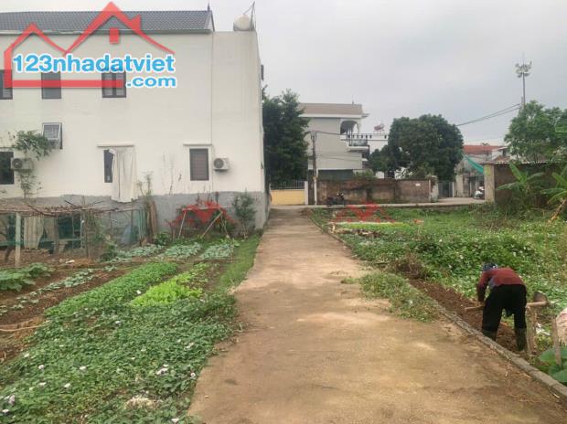 CHÍNH CHỦ BÁN LÔ ĐẤT 69,2M TẠI TỐT ĐỘNG-CHƯƠNG MỸ-HÀ NỘI - 1