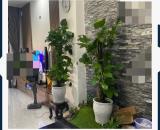 BÁN NHÀ 3 TẦNG, HOÀNG ĐÌNH ÁI, HÒA XUÂN, GI