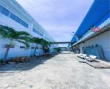 XT034 nhà xưởng cho thuê ổn định lâu dài, diện tích đa dạng linh hoạt cho khách hàng thuê