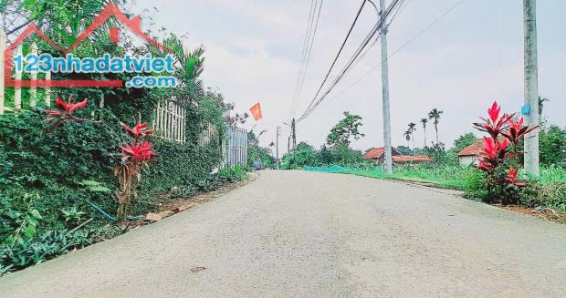 SIÊU RẺ- lô đất tuyến 2 tỉnh lộ 414 Ba Trại Ba Vì_1784M_200M đất ở bám đường 2oto tránh - 1