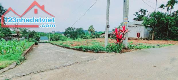 SIÊU RẺ- lô đất tuyến 2 tỉnh lộ 414 Ba Trại Ba Vì_1784M_200M đất ở bám đường 2oto tránh - 2