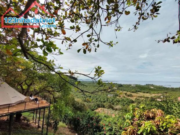 Cơ hội đầu tư đất vườn nghỉ dưỡng La Ngà - View hồ Trị An thoáng mát, tiềm năng sinh lời - 1
