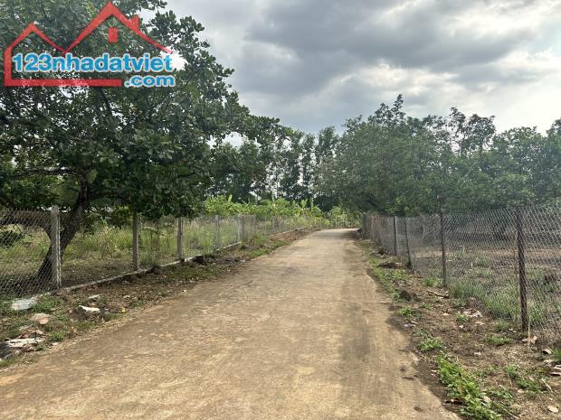Cơ hội đầu tư đất vườn nghỉ dưỡng La Ngà - View hồ Trị An thoáng mát, tiềm năng sinh lời - 2