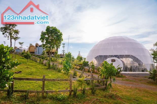 Cơ hội đầu tư đất vườn nghỉ dưỡng La Ngà - View hồ Trị An thoáng mát, tiềm năng sinh lời - 3