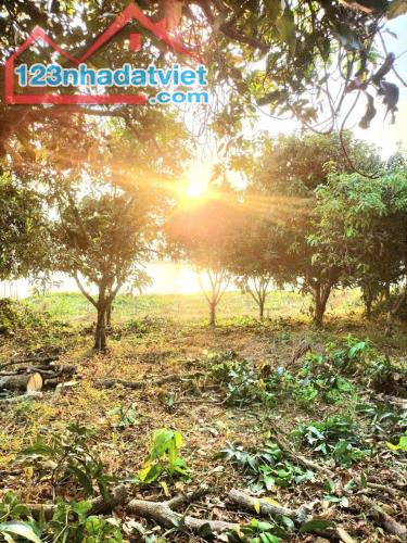 Cơ hội đầu tư đất vườn nghỉ dưỡng La Ngà - View hồ Trị An thoáng mát, tiềm năng sinh lời - 4