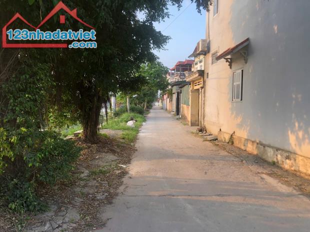 Bán 113M Bìa Làng Đường Tây - Trung Oai - Tiên Dương - Khu Vực Tiềm Năng - 2