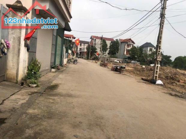 Bán 113M Bìa Làng Đường Tây - Trung Oai - Tiên Dương - Khu Vực Tiềm Năng - 4