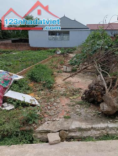 Bán- Đất -Dược Thượng -Tiên Dược (Sóc Sơn)-100M2-2, 8Tỷ -Đường Thông-Ô Tô Chạy Qua Đất