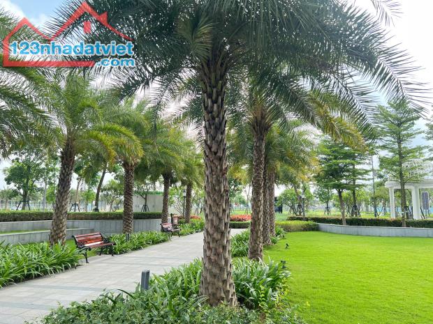 DỰ ÁN HỒNG HẠC CITY PHÚ MỸ HƯNG BẮC NINH ĐÃ ÉP CỌC XONG - 3
