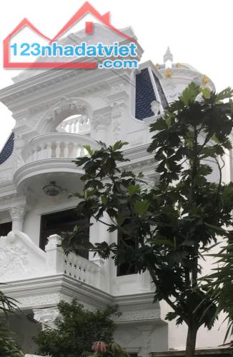 BÁN BIỆT THỰ 3,5 TẦNG PHONG CÁCH LÂU ĐÀI PHÁP TÂN CỔ ĐIỂN, KIỆT ÔTÔ VÕ NGUYÊN GIÁP, TP HUẾ - 2