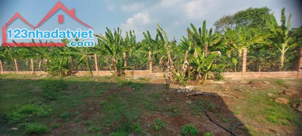 CHÍNH CHỦ Cho thuê đất tại xã Thanh Bình, huyện Trảng Bom,Tỉnh Đồng Nai