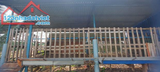 CHÍNH CHỦ Cho thuê đất tại xã Thanh Bình, huyện Trảng Bom,Tỉnh Đồng Nai - 2