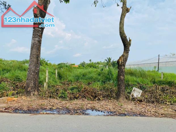 CHỦ GỬI LÔ ĐẤT FULL THỔ 2MT ĐƯỜNG NHỰA ĐOÀN MINH TRIẾT GIÁ 590TR shr - 1