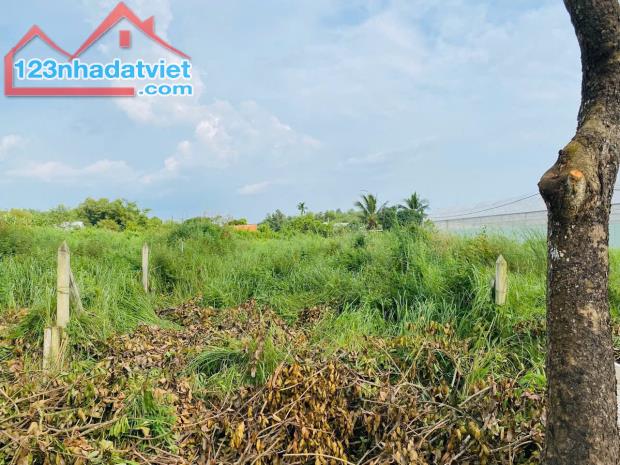 CHỦ GỬI LÔ ĐẤT FULL THỔ 2MT ĐƯỜNG NHỰA ĐOÀN MINH TRIẾT GIÁ 590TR shr - 2