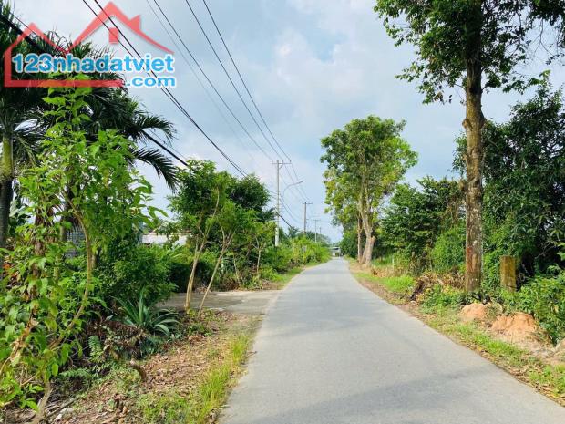 CHỦ GỬI LÔ ĐẤT FULL THỔ 2MT ĐƯỜNG NHỰA ĐOÀN MINH TRIẾT GIÁ 590TR shr - 3