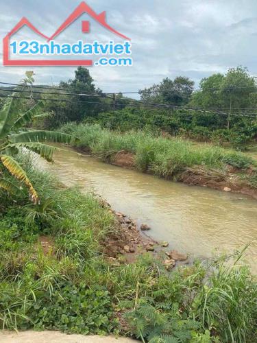 bán vườn chôm chôm 1000m2 view suối giá 280tr - 1
