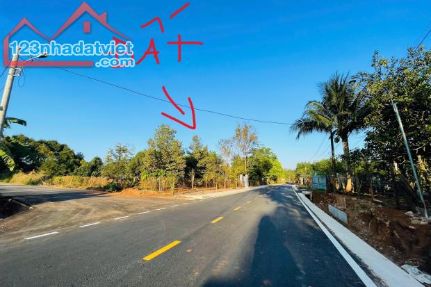 BÁN SÀO (1.323m2) ĐẤT SÁT QL13 SẴN 100TC SHR NGAY QUỐC LỘ 13 TRUNG TÂM THỊ XÃ 520tr