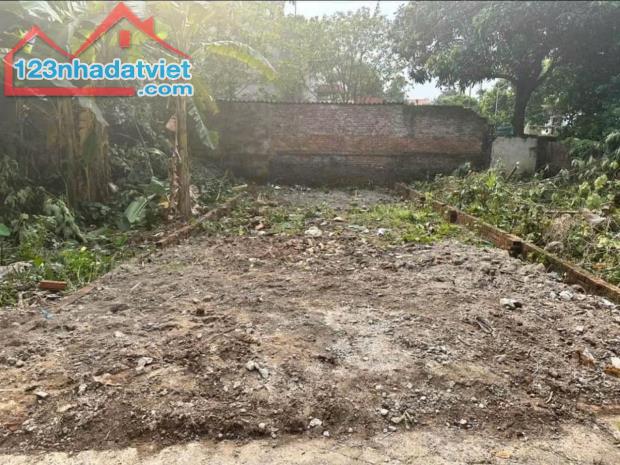 CẦN BÁN NHANH LÔ ĐẤT TẠI Xóm Tiên, Tiên Hùng, Nguyên Khê, Đông Anh, TP Hà Nội - 3