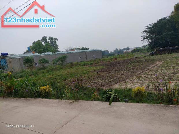 GIÁ TỐT - CHÍNH CHỦ Cần Bán Lô Đất Nền Full Thổ Cư Tại Xã  Mỹ Hạnh Bắc, Đức Hòa, Long An. - 4