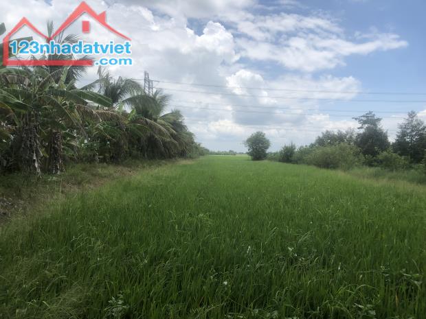 ĐẤT NGUYỄN VĂN THẢNH - BÌNH TÂN - VĨNH LONG - HƠN 10.000 m2 - GIÁ 250tr/ 1.000 m2. - 5