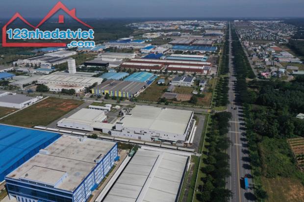 Đất nền đường nhựa DH614 sát KCN Bàu Bàng - 3